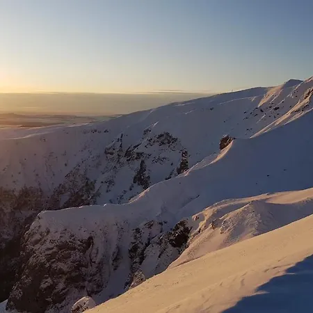 Les Paquerettes N 4 لو مونت دوري